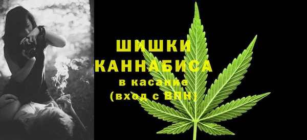 мет Бородино