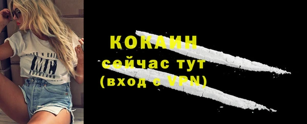 мет Бородино