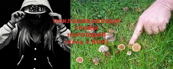 крисы Бронницы