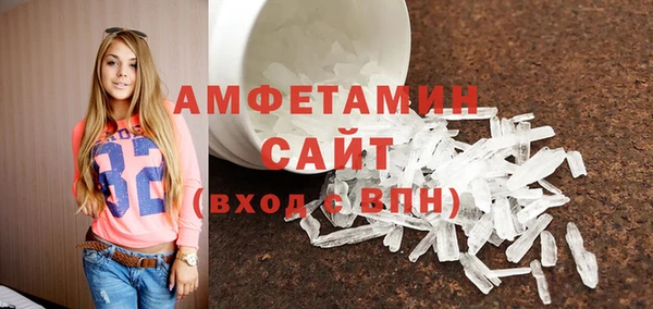 крисы Бронницы