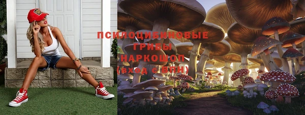 мет Бородино