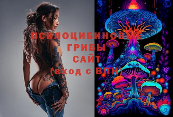 мет Бородино