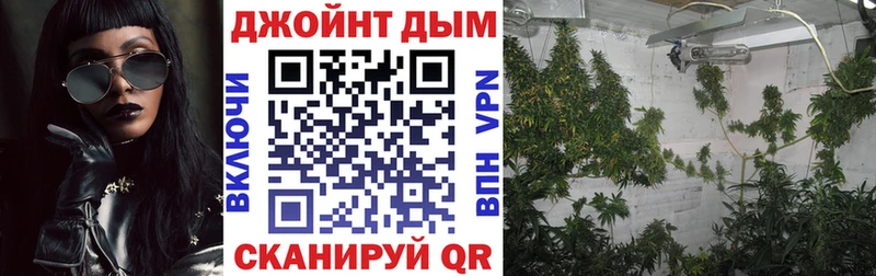 МАРИХУАНА гибрид Анжеро-Судженск